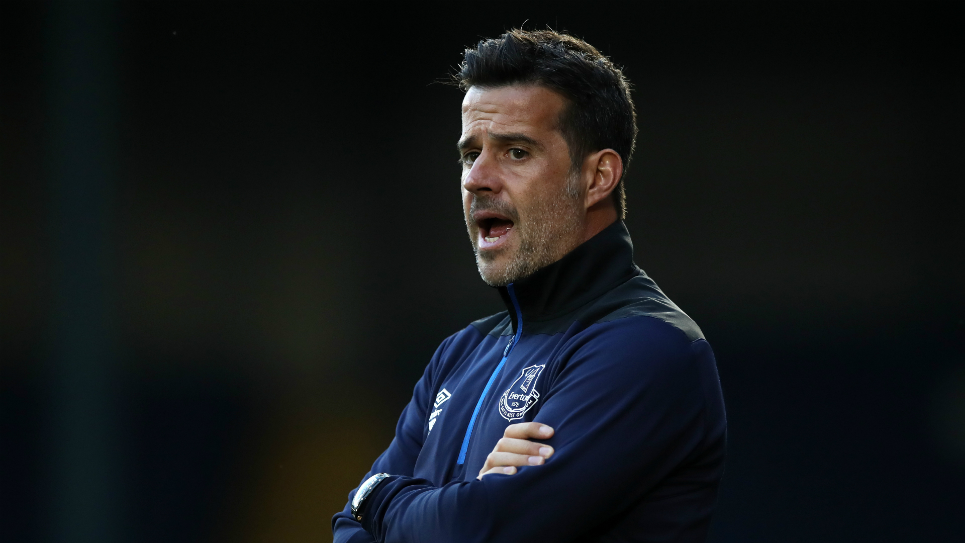 的葳蕤交會 的葳蕤交會